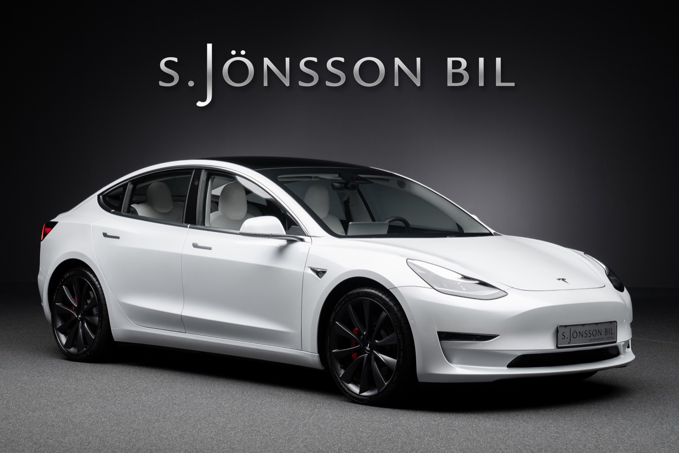 Tesla Model 3 Performance