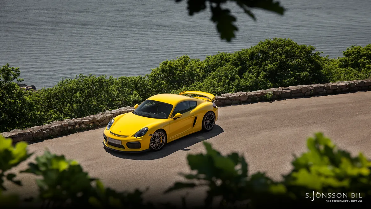 Porsche 981 GT4